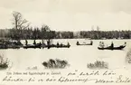 Sjön Stråken med Ugglehults gård, pr Lamhult, (Aneboda sn), ca 1905. Flera ekor är ute på sjön.