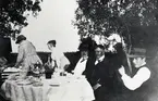 Stora Lindö, Växjö ca 1920. Fiskhandlare Johan Ingemansson med gäster.