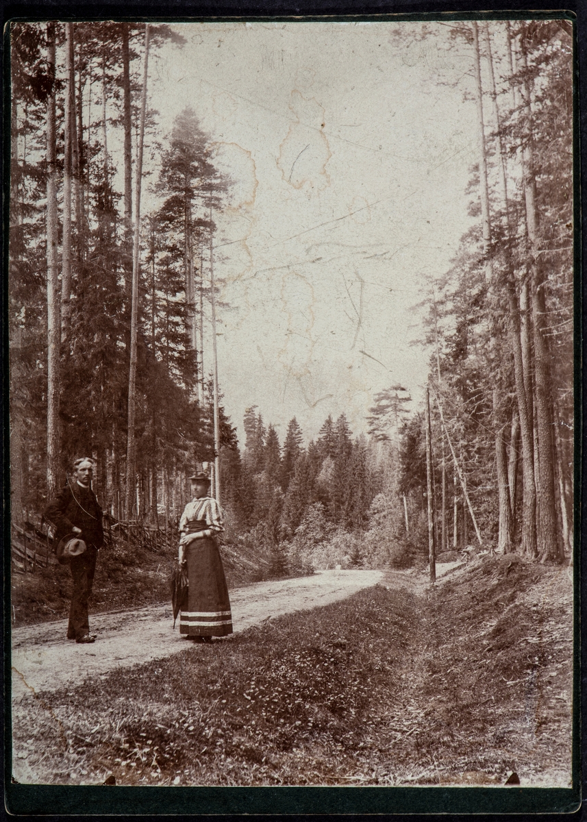 Lege Emil Eriksen med sin søster Laura på tur i skogen.
