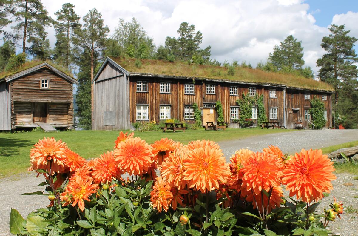 Museene i Sør-Trøndelag, her ved Rindal skimuseum. 