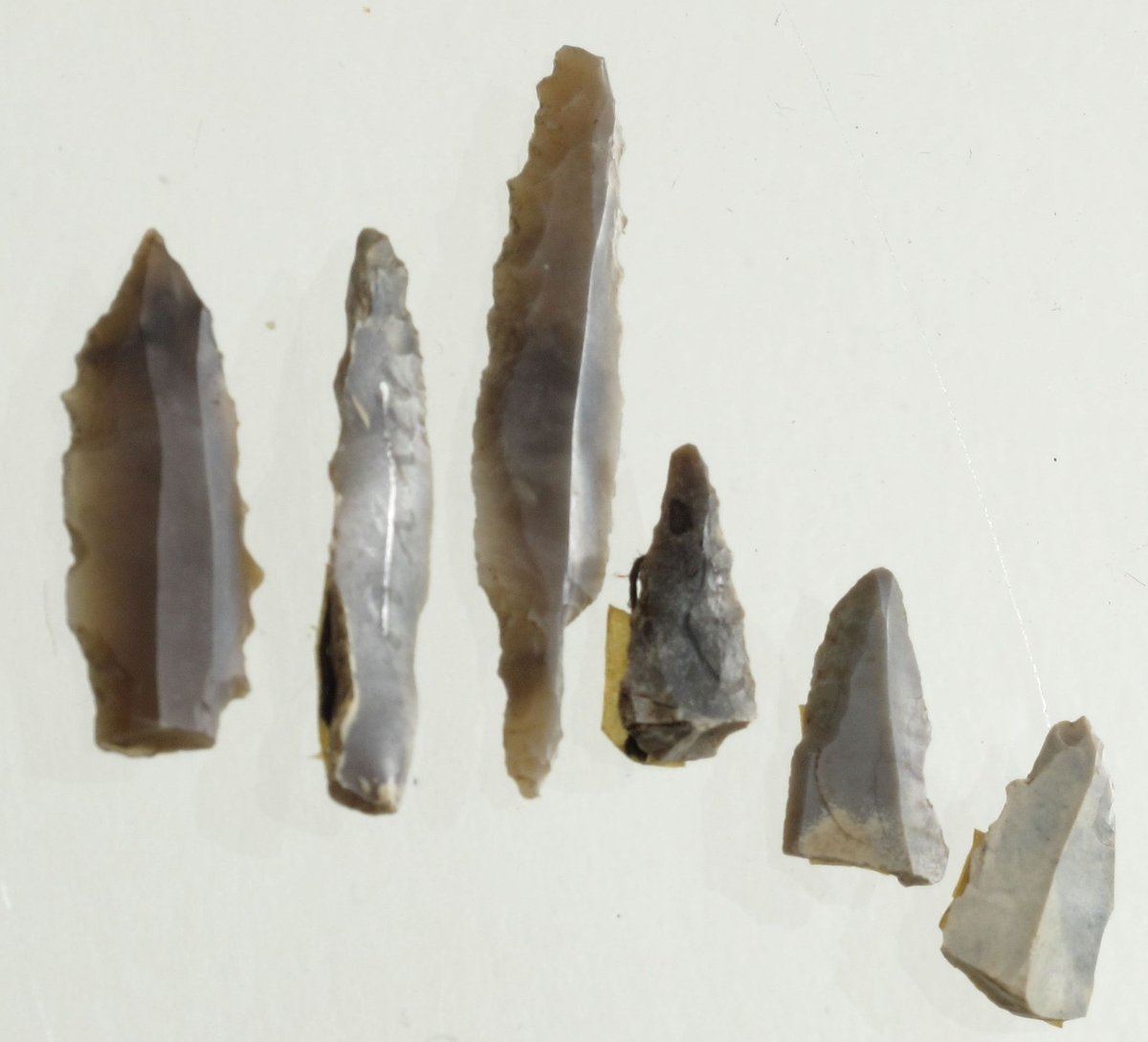 2 hele og 4 fragmentariske flekkepiler av grå flint med retusjerte tanger og odd, herav 1 fragment med sagtannet egg (sml. Rogalands Stenalder, fig. 176). 

Lengde 2-4,6 cm. 

(A. 1786, 2209, 2211).
