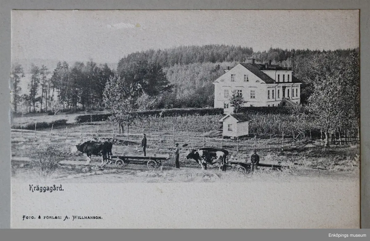 Litet, rött vykortsalbum med guldtexten: "Minnen från Enköping". Albumet innehåller 6st. sidor med inklistrade vykort från Enköpings kommun. En av sidorna har lossnat och ligger nu löst i albumet.