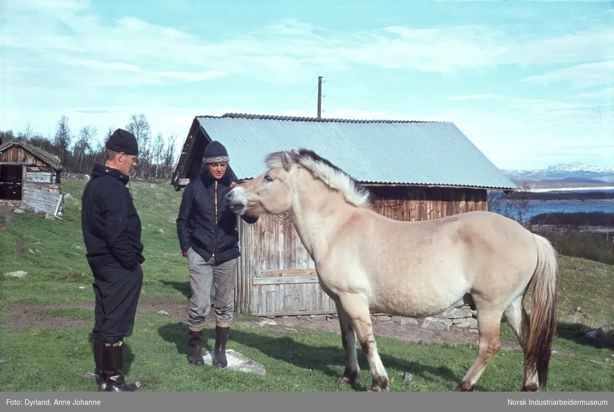 Bjørn Dyrland og Olav Vågen med fjordhest på gårdstunet på Kvammen