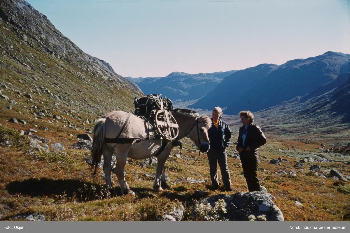 Anne Dyrland og Signe Vågen i Skindalen med Kløvhest