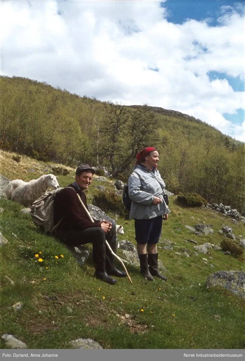 Eivind og Kristi Lien med ryggsekk sammen med sau på staulen på Argehovd