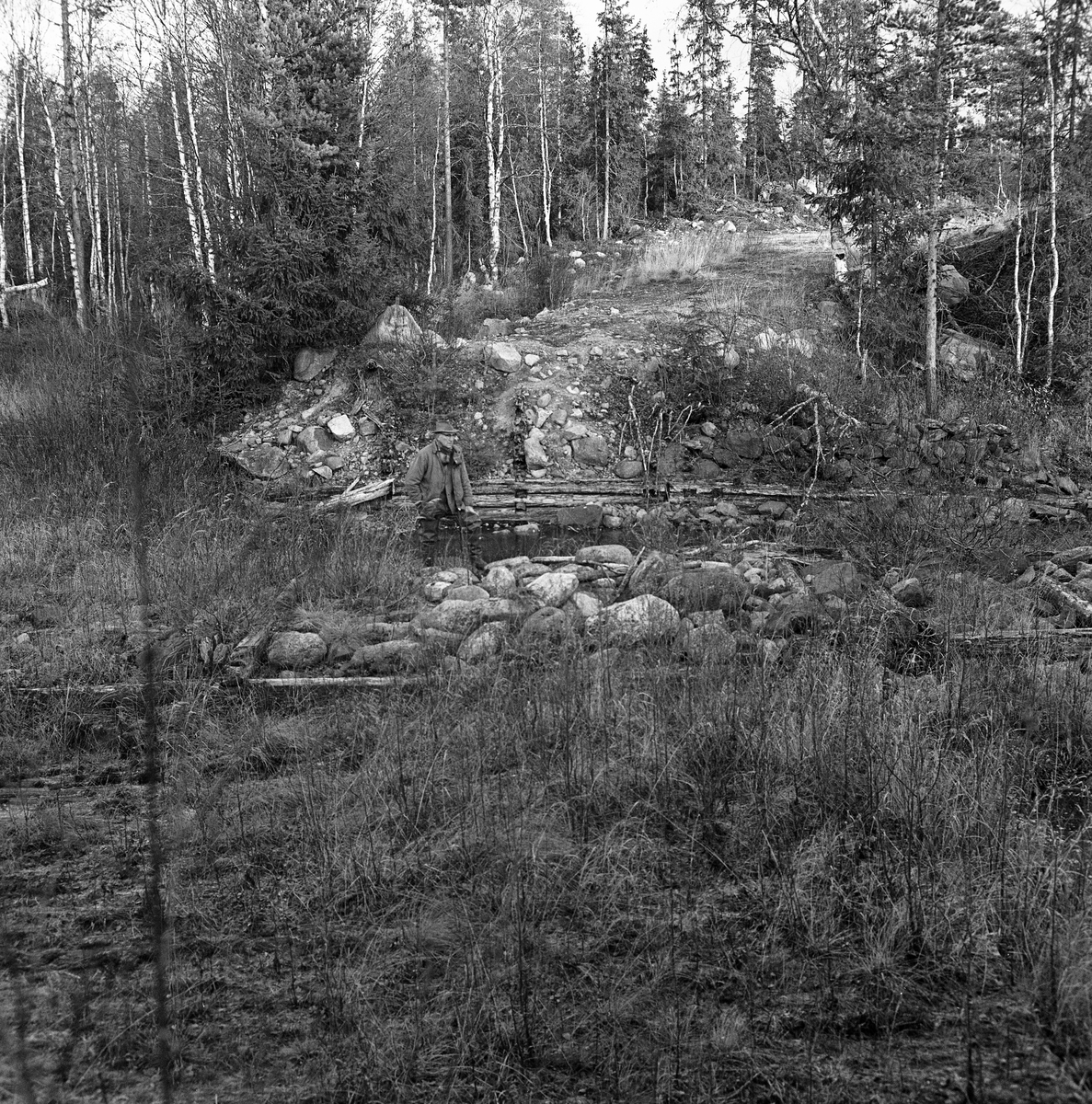 Fra Kvannstranddammen ved elva Foreninga i Trysil. Fotografiet er tatt på tvers av elveløpet, mot en rest av ei av tømmerkistene fra den gamle dammen. Mannen som sto ved det som var igjen av konstruksjonen er Trygve Aasheim (1893-1975). Han var Norsk Skogbruksmuseums kontaktperson i Trysil og den som i 1970 tok initiativet til å få flyttet Kvannstranddamkoia til museet. 

Denne lokaliteten ligger om lag 10 kilometer øst-nordøst for Plassen i Østre Trysil, nedenfor Østre og Vestre Grønas sammeløp (derav navnet Foreninga), men ovenfor det stedet hvor dette vassdraget løper sammen med Tannåa og danner Stor-Grøna. Vannet fra de nevnte elvene renner etter hvert renner ut i Trysilelva/Klara, som flyter videre inn i Sverige og munner ut ved Karlstad, der det lenge har vært mye skogindustri. Mye av råstoffet kom fra Trysil, og det vassdraget dette fotografiet er tatt ved var lenge ei viktig transportåre for tømmeret. For å gjøre fløtinga effektiv hadde fløterne behov for å bygge regulerbare vannreservoarer. Den første dammen i dette området skal ha vært bygd i 1885, i nærheten av det stedet der dette bildet er tatt. Dette skal ha skjedd etter langvarige diskusjoner mellom ledelsen i selskapet Mölnbacka Trysil, som var opptatt av å heve vannspeilet for å lette fløtinga, og lokale gardbrukere, som nødig ville at utslåttene deres skulle settes under vann i vårsesongen, noe som ville hemme grasveksten. Den gamle Kvannstranddammens betydning for reguleringa av fløtingsvannføringa avtok etter at Grønenes fellesfløtningsforening fikk bygd Kaldflodammen i Vestre Grøna og Stornesdammen i Østre Grøna. Koia damvokterne ved Kvannstranddammen hadde bodd i mistet dermed sine viktigste funksjoner, men den ble stående inntil Trygve Aasheim i 1970 foreslo å flytte den til Norsk Skogbruksmuseum i Elverum. Dette fotografiet ble tatt under den befaringa dette forslaget utløste. Koia ble demontert samme høst og gjenoppført på museet påfølgende vår og sommer (jfr. SJF-B.0026). På det stedet der dette fotografiet ble tatt ble det seinere, i 1978, bygd en ny fløtingsdam av betong, stål og tre (jfr. SJF-F.012418).