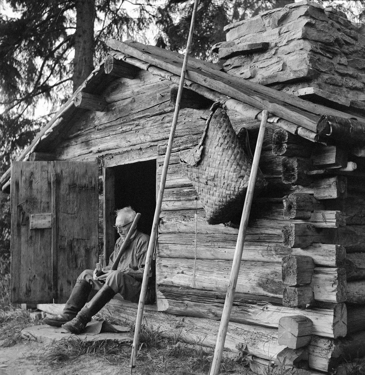 Trygve Aasheim (1893-1975), fotografert i døråpningen til Kvannstranddamkoia fra Grønavassdraget i Trysil etter at bygningen var flyttet til Norsk Skogbruksmuseums friluftssamling på Prestøya i Elverum i 1971. Aasheim var Skogbruksmuseets kontaktmann i hjembygda Trysil, og han var sentral da denne koia flyttet til museet. Her satt han og brynte ei øks. På veggen ved sida av ham hang det en diger neverkont. Vi ser også skaftene på to fløterhaker. Fotografiet er tatt da koia ble innviet som museumsbygning i august 1971. 

Høsten 1970 kunne lokalavisa Østlendingen fortelle at damkoia skulle flyttes til museet, og at «Trygve Aasheim kjenner stuggua helt fra guttedagene og oppvekståra, han var også en god del sammen med bestefaren sin her ...». Da koia ble innviet som museumshus i august påfølgende år skrev samme avis følgende: «De som i første rekke skal ha takkens ord er Trygve Åsheim, museets kontaktmann i Trysil, Ragnar Kvile, giver av stuggua, Per Akre, som har "spyttet i" med sjekk, og Jon Galaasen, som sammen med nedriving, transport og oppsetting på Prestøya.» Dette fotografiet er antakelig tatt i innvielseshelga, 10. og 11. august 1971.

Dammen denne koia hadde stått ved ble bygd etter initiativ fra selskapet A/B Mölnbacka-Trysil. Dambygginga ble realisert i 1885 i samarbeid med Almänna Flottningen. Fløterne nyttiggjorde seg dette vannreservoaret første gang under påfølgende fløtingssesong. Den eksakte alderen på koia er noe usikker. Da husværet skulle flyttes til museet ble det lansert teorier om at det kunne være eldre enn dammen, og at bygningen kunne ha vært flyttet til Kvannstranda i forbindelse med at den første dammen her ble oppført. Da man under demontering av bygningen høsten 1970 og under gjenoppføring på museet påfølgende vår og sommer fant indikasjoner på at bygningen hadde vært ombygd en gang, så man for seg at dette kunne ha skjedd i forbindelse med flytting til damstedet i midten av 1880-åra. Dette er imidlertid usikkert. At Kvannstranddamkoia er gammel til fløterhusvær å være, er det imidlertid ingen tvil om. Da koia skulle presenteres for publikum skrev museumsbestyrer Tore Fossum:

«Husvær under løsfløting har antagelig bare forekommet sporadisk før år 1900. Karene laget seg nying som de lå ved der de stanset om kvelden. Ved neste dags slutt fant de seg en ny kvileplass og tente en ny varme. Dette var skikken over alt i Trysil-vassdraget og også i mange andre fløtningselver rundt omkring i landet. På dammene derimot var det annerledes. Her var arbeidet stasjonært, og samtidig med byggingen av en dam ble det også reist damstue for dampasserne. Damstuene er ellers de eldste fløterhusværene. De er vanligvis små med plass til bare to, tre eller fire mann og er plassert helt nede ved dammen, slik at karene lett kunne ha oversikt over dammen, lensene og tømmeret.»

Kvannstranddamkoia er om lag 4,5 meter lang og 3,8 meter bred, og har med andre ord ei grunnflate på 17,5 kvadratmeter. Koierommet har en gråsteinsmurt peis i hjørnet til høyre innenfor døra på gavlveggen. Ellers har den veggfaste brisker med bord foran langs de indre veggene. Vis a vis peisen finner vi et uvanlig koiemøbel: Ei seng, som skal ha vært innsatt da disponenten i Mölnbacka-Trysil, Axel Mörner, skulle komme på overnattingsbesøk. 

Fløtingsaktørene hadde kontrakt med grunneierne om bruk av Kvannstranddammen fram til 1915, og fortsatte å bruke dammen fram til 1923. Fra da av benyttet de seg i stedet av Kaldflodammen i Østre Grøna og Stornesdammen i Vestre Grøna som vannreservoarer. Koia ved Kvannstranddammen ble stående, med et bølgeblikktak som bremset forfallet. Derfor var den i forholdsvis god forfatning da den ble flyttet til museet i Elverum ved inngangen til 1970-tallet. Der ble den stående ved en rekonstruert fløtingsdam, med inventar av den typen som var vanlig i slike koier. Museet hadde inntil da ikke tatt sjansen på å la gjenstandsmateriale stå i koiene fordi de var enkle å ta seg inn. Kvannstranddamkoia ble eksponert for mye vann og strid strøm under storflommen i 1995. Cirka 20 år seinere ble det oppdaget store råteskader i veggtømmeret i hjørnet der peisen sto. Det er usikkert om det var revner som oppsto i pipebeslagene under storflommen eller setninger som fikk peisvangene til å sige inn mot tømmerveggene som var hovedårsaken til disse skadene. I 2016 ble hele koia demontert, og det ble støpt ei underjordisk betongsåle som skulle stabilisere murverket før koia ble gjenoppført med en god del nytt tømmer, særlig i hjørnet ved pipa.