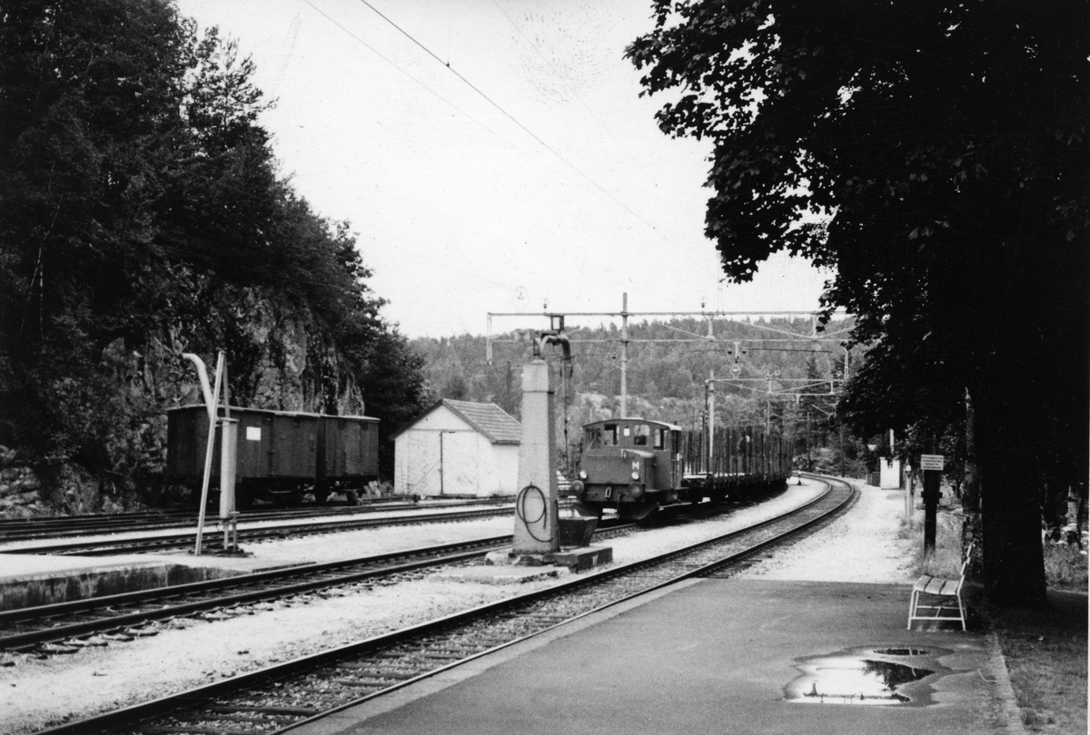 Setesdalsbanen, Grovane stasjon. Viser to av vannstenderne som var på nordlige del av stasjonsområdet. Skd 214.74 eller 75 med et skift i spor 2.
Fotograf ukjent.