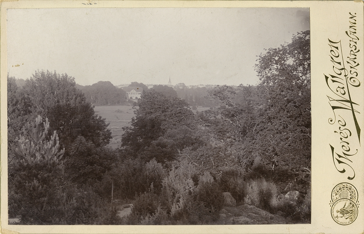 Oskarshamn från berget i Norrby brunnspark. I bildens mitt syns Fredriksbergs herrgård och till höger bortom denna tornet till Oskarshamns stads kyrka, uppförd 1876.