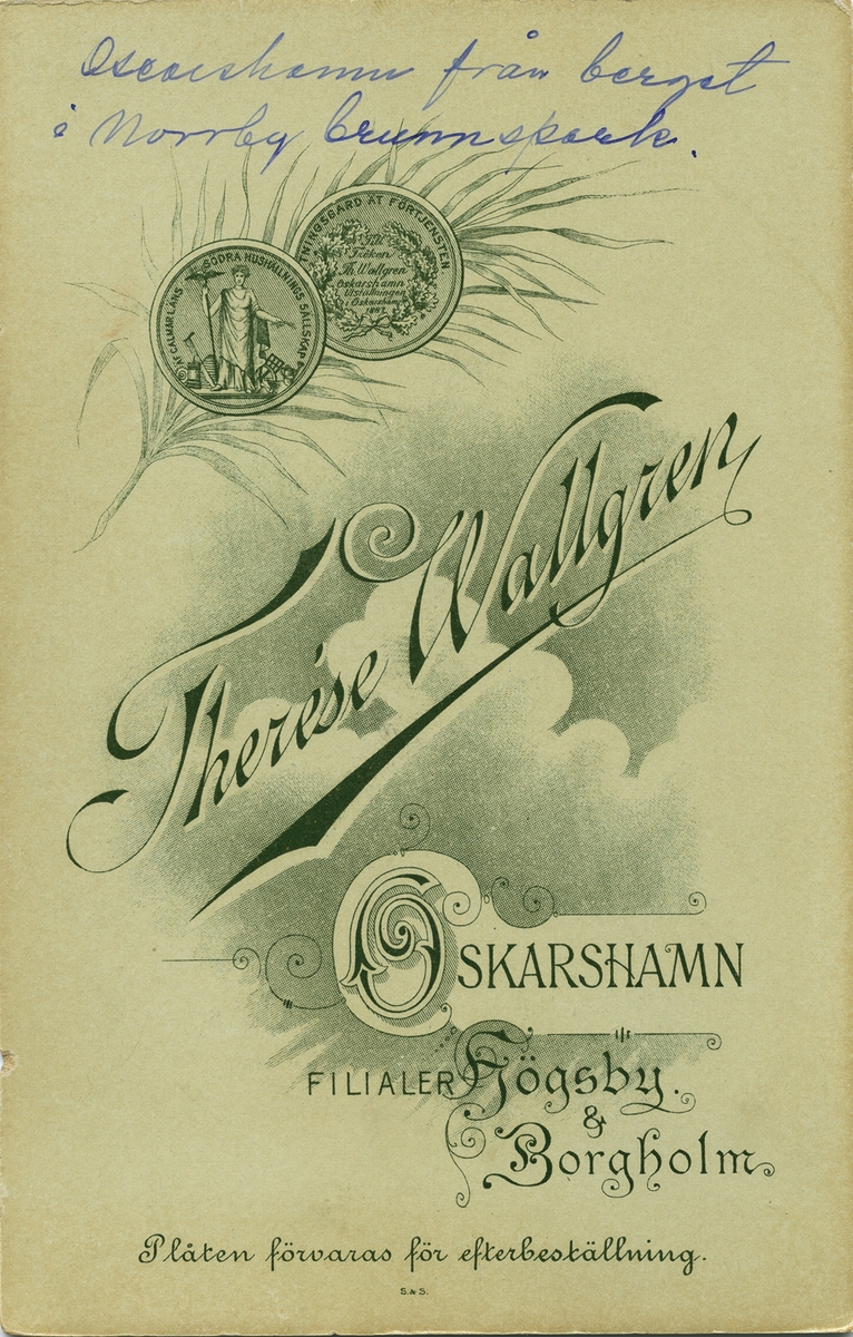 Oskarshamn från berget i Norrby brunnspark. I bildens mitt syns Fredriksbergs herrgård och till höger bortom denna tornet till Oskarshamns stads kyrka, uppförd 1876.