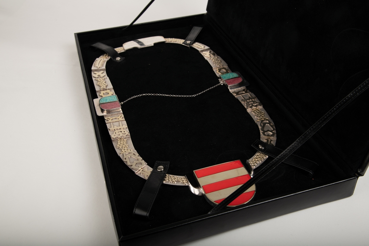 Et stort halskjede med et bånd bestående av brede, flate plater som overlapper annenhver på oversiden og undersiden. Med unntak av skrift på platen helt bakerst er kjedet helt symmetrisk. I midten foran er Fylkeskomummens Aust-Agders våpenskjold, et skjold med to gylne striper over rød bakgrunn. Hver plate har et motiv og to av dem, en på hver side, har satt inn steiner, en grønnspettet stein og en spettet rødrosa stein. En tynnere lenke er festet på tvers på midten av kjedet.