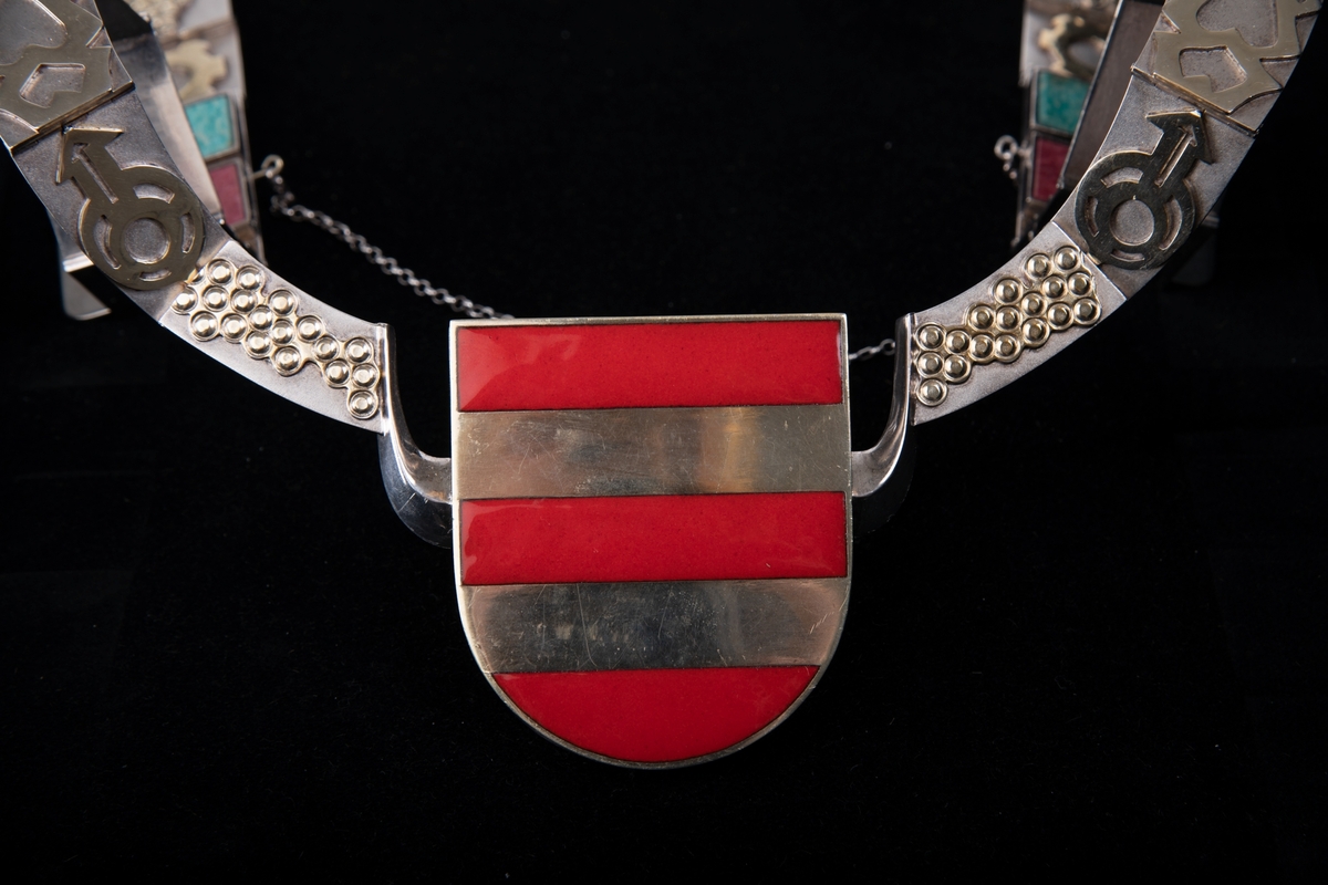 Et stort halskjede med et bånd bestående av brede, flate plater som overlapper annenhver på oversiden og undersiden. Med unntak av skrift på platen helt bakerst er kjedet helt symmetrisk. I midten foran er Fylkeskomummens Aust-Agders våpenskjold, et skjold med to gylne striper over rød bakgrunn. Hver plate har et motiv og to av dem, en på hver side, har satt inn steiner, en grønnspettet stein og en spettet rødrosa stein. En tynnere lenke er festet på tvers på midten av kjedet.