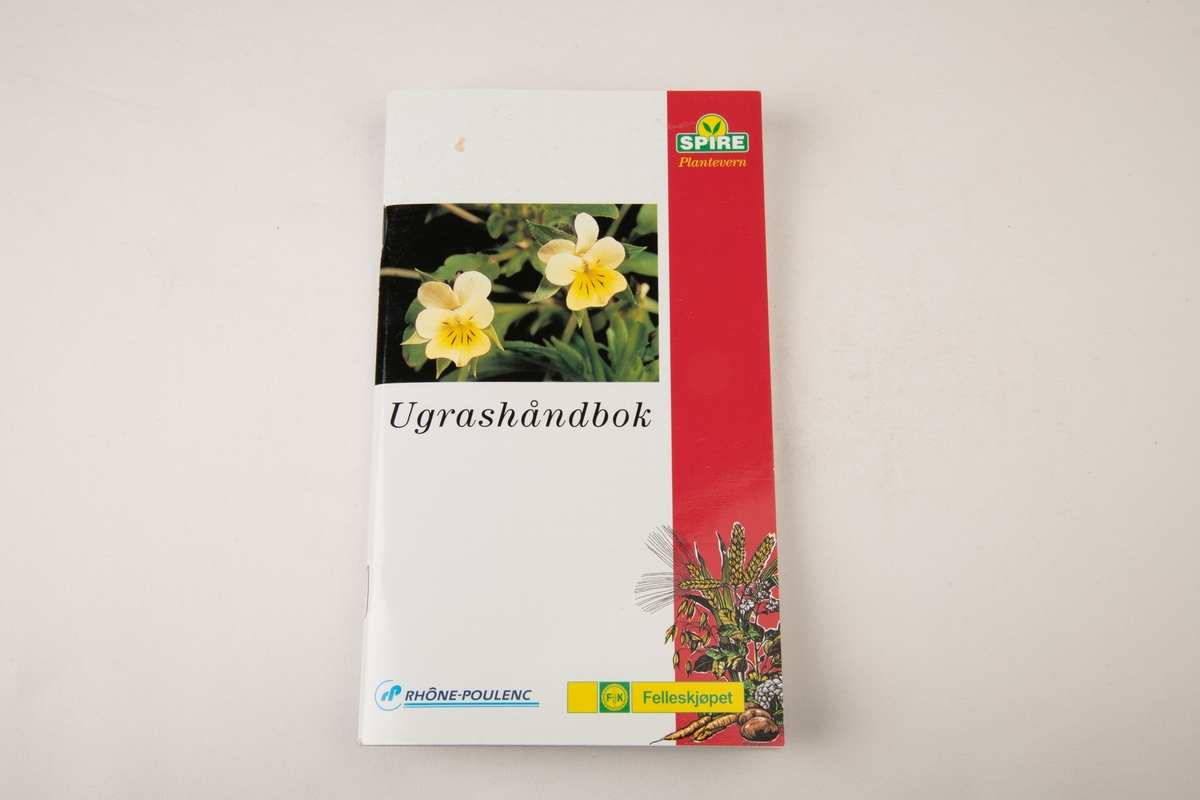 Foto av to gule blomster, Illustrasjon av hvete, havre, poteter, gulrøtter og blomkål.