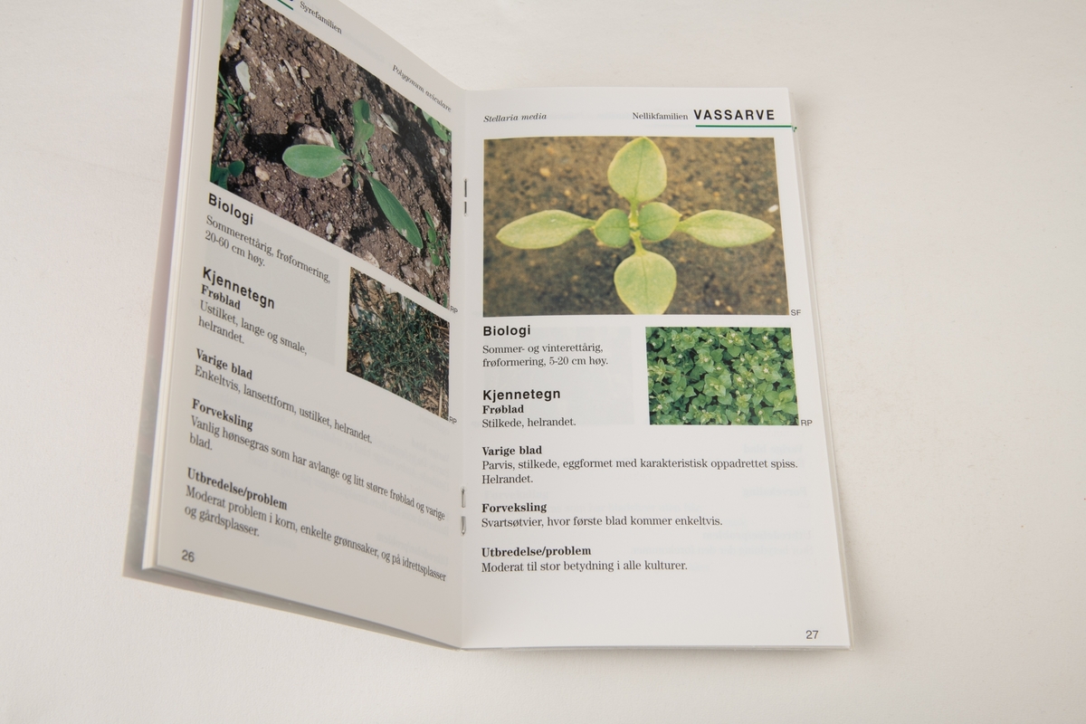 Foto av to gule blomster, Illustrasjon av hvete, havre, poteter, gulrøtter og blomkål.