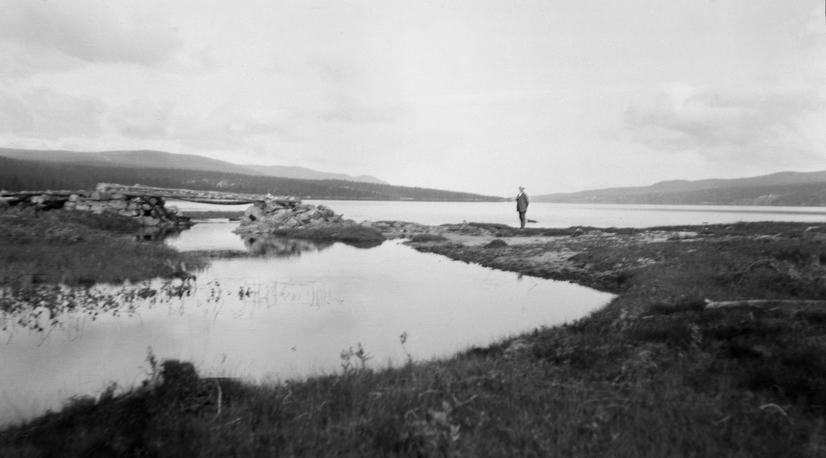 Fra Vesle-Osens utløp i sørenden av Osensjøen, Søre Osen i Trysil kommune.  Fotografiet er tatt på høsten i et myrlendt terreng, der det var et trangt sund mellom de to sjøene.  Over sundet er det bygd ei primitiv bru i ett spenn.  Konstruksjonen kviler på murte kar av naturstein.  Nettopp i 1917, det året dette fotografiet ble tatt, bevilget Christiania Tømmerdirektion penger til ombygging av brua her, slik at bruspennet skulle bli høgt og bredt nok til at det ikke skapte problemer for tømmerfløtinga.  En mann betrakter brua fra en posisjon på noret like øst for den. 

I bakgrunnen ses Osensjøen omgitt av lave, skogkledde åser. 