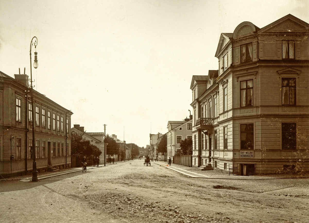 Svensson, Svante (1848 - 1916)