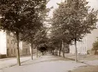 Norra Esplanaden västerut. 1910-tal, Växjö. I höjd med tingshuset.