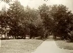 Parken vid Evedals värdshus. Ca. 1910-tal.