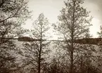 Helgasjön, från trakten kring Evedal. Ca. 1915.