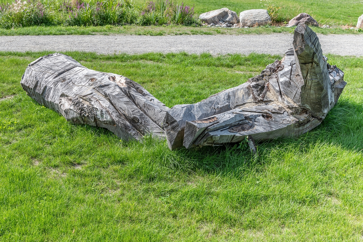 De to skulpturene av eik forestiller en utstrakt venstrehånd som åpent og søkende strekker seg mot himmelen, og en knyttet høyrehånd som mer målrettet og bestemt griper etter noe.

Hendene er plassert delvis med ryggen mot hverandre, men likevel henvendt til landskapet og området rundt. Skulpturene er formet av en motorsag og har et rått og direkte uttrykk. I tillegg til de to store hendene er fire mindre hender av bjørk og poppel plassert rundt om i parken. Disse er ment å brytes ned og bli til insekthoteller.

Begrepet ‘doxa’ kommer fra gresk og betyr «antagelse» eller «tro». Det kan romme subjektiv overbevisning som motsetning til sikker viten, og kan forstås som tanker, verdier og vaner som deles av bestemte grupper av mennesker.
