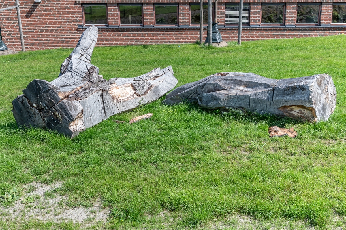 De to skulpturene av eik forestiller en utstrakt venstrehånd som åpent og søkende strekker seg mot himmelen, og en knyttet høyrehånd som mer målrettet og bestemt griper etter noe.

Hendene er plassert delvis med ryggen mot hverandre, men likevel henvendt til landskapet og området rundt. Skulpturene er formet av en motorsag og har et rått og direkte uttrykk. I tillegg til de to store hendene er fire mindre hender av bjørk og poppel plassert rundt om i parken. Disse er ment å brytes ned og bli til insekthoteller.

Begrepet ‘doxa’ kommer fra gresk og betyr «antagelse» eller «tro». Det kan romme subjektiv overbevisning som motsetning til sikker viten, og kan forstås som tanker, verdier og vaner som deles av bestemte grupper av mennesker.
