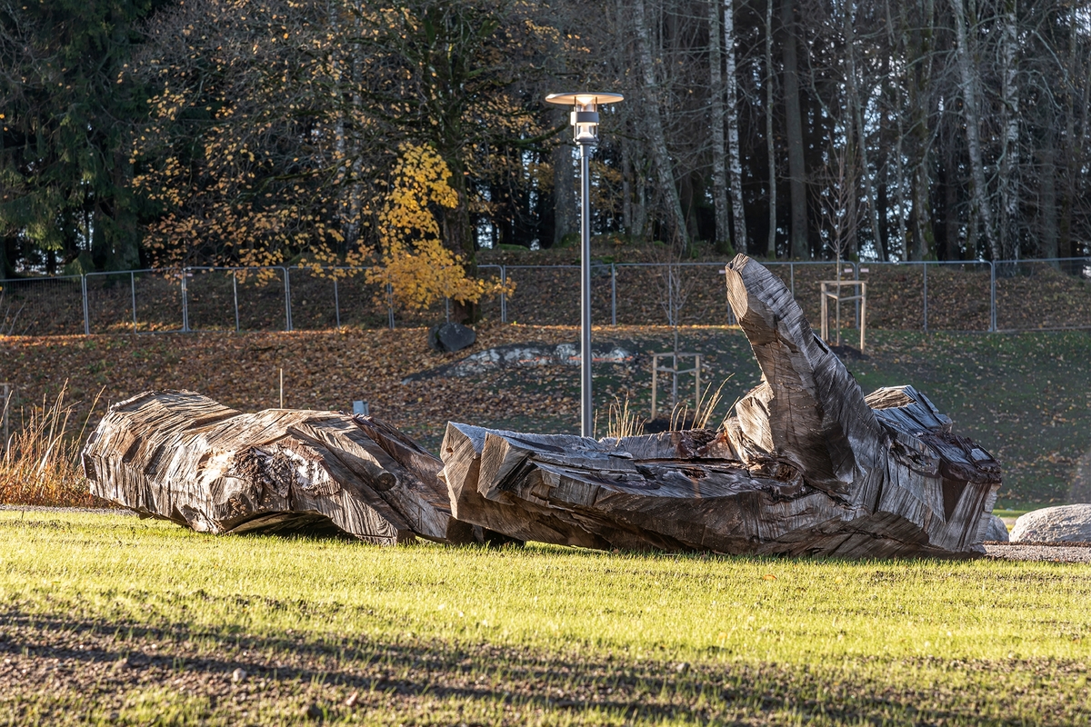 De to skulpturene av eik forestiller en utstrakt venstrehånd som åpent og søkende strekker seg mot himmelen, og en knyttet høyrehånd som mer målrettet og bestemt griper etter noe.

Hendene er plassert delvis med ryggen mot hverandre, men likevel henvendt til landskapet og området rundt. Skulpturene er formet av en motorsag og har et rått og direkte uttrykk. I tillegg til de to store hendene er fire mindre hender av bjørk og poppel plassert rundt om i parken. Disse er ment å brytes ned og bli til insekthoteller.

Begrepet ‘doxa’ kommer fra gresk og betyr «antagelse» eller «tro». Det kan romme subjektiv overbevisning som motsetning til sikker viten, og kan forstås som tanker, verdier og vaner som deles av bestemte grupper av mennesker.