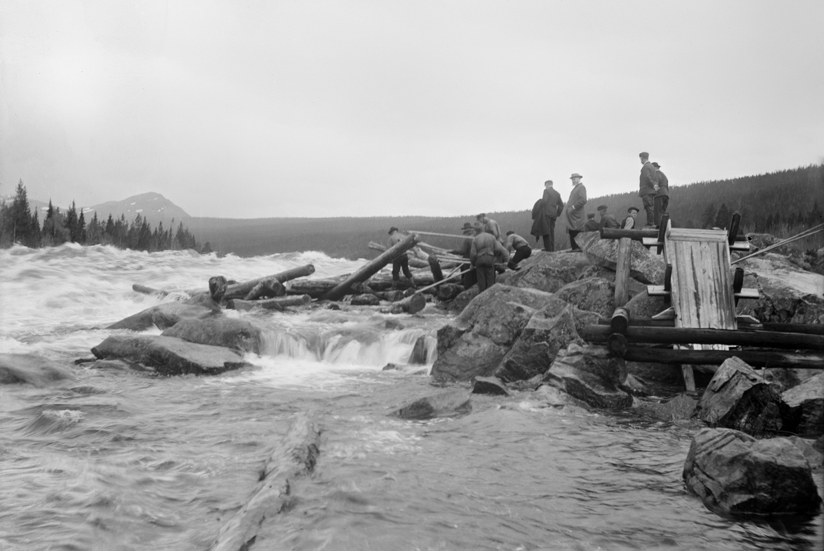 Direksjonen (styret) i Christiania Tømmerdirektion (seinere kalt Glomma fellesfløtingsforening) fotografert under ei befaring ved Barkaldfossen i Glomma.  Denne fossen ligger i den søndre delen av Alvdal kommune.  Barkaldfossen var en forholdsvis liten foss - med et fall på cirka fire meter.  Likevel skapte den problemer for tømmerfløterne, fordi det var en del store steinblokker i elvefaret her, noe som åpenbart hadde skjedd da dette fotografiet ble tatt.  Vi ser fem fløtere i arbeid med en haug somhar blitt liggende i den stride strømmen ovenfor et steinskjær.  På en bergknaus like ved sto fire dress- og frakkekledde herre fra direksjonen og ser på arbeidet.  Bak dem skimtes ytterligere tre unge menn, som etter antrekket å dømme kan ha vært fløtere.  På den nevnte bergknausen ser vi også ei vassrenne av tre.  Den mangler imidlertid vasshjul, og ut fra dette fotografiet er det ikke gitt hvilken funsjon renna kan ha hatt. 

I 1960-åra ble det arbeidet med å regulere Glomma ved Barkaldfossen.  Det ble bygd en inntaksdam i elva her, noe som innebar store endringer i elvelandskapet.  Fra denne dammen føres opptil 55 kubikkmeter vann i sekundet gjennom en cirka 30 kilometer lang tunnel som ender i fjellet ved Hornset i Ytre Rendalen, der Rendalen kraftverk ligger, 210 meter lavere enn inntaksdammen.  I henhold til konsesjonsbestemmelsene skal fortsatt minst 10 kubikkmeter vann til enhver tid slippes forbi kraftverksdammen ved Barkald, men forholdene i elva er likevel betydelig endret.  Kraftverket ble innviet i 1971.  Dammen må ha hatt tømmerrenne, for Glomma fellesfløting fortsatte å tilby fløting fra Tynset bru og sørover fram til 1975.  Fra og med påfølgende år var dammen ved Barkald øverste grense for utislag av fløtingstømmer i Glomma. 