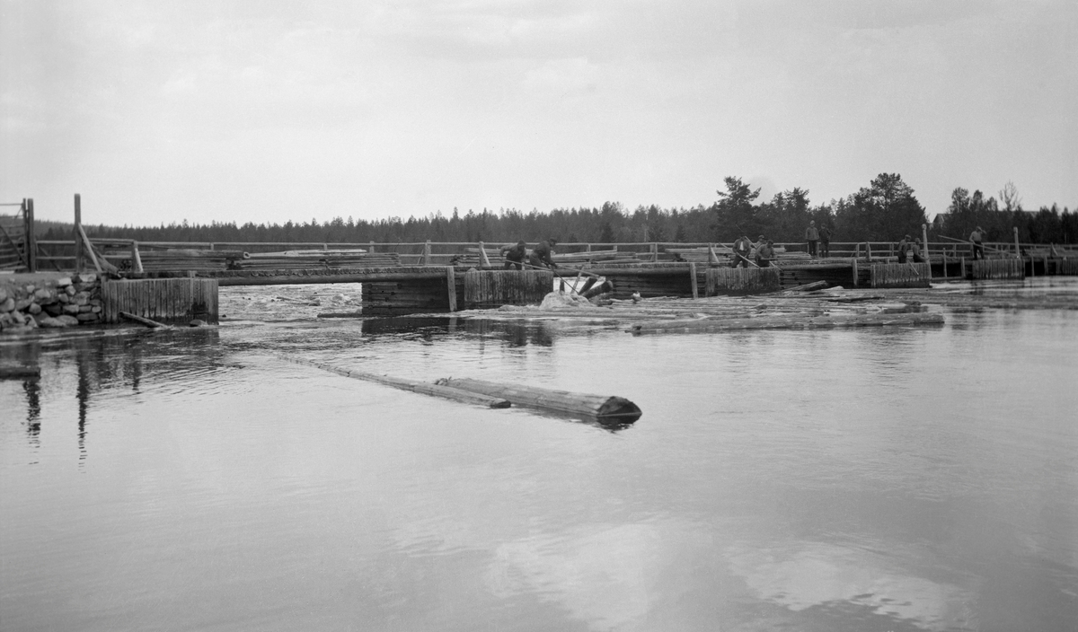 Tapping gjennom Osdammen, der elva Søndre Osa renner ut av Osensjøen i Åmot (Hedmark), antakelig omkring 1920. Denne dammen lå der elva forlater Valmen, ei vik i den nordvestre delen av sjøen. Dammen var snaut 60 meter bred og hadde en tappehøyde på 1,4 meter. Den hadde sju åpninger med mellomliggende kar av steinfylte tømmerkister. Mellom karene gikk det ei dambru av grov plank på tømmersviller.  Fotografiet viser hvordan fløterne sto parat med hakene sine på motstrøms side av tømmerkistene for å kunne løsne stokker som la seg mot kistene under damslipp.