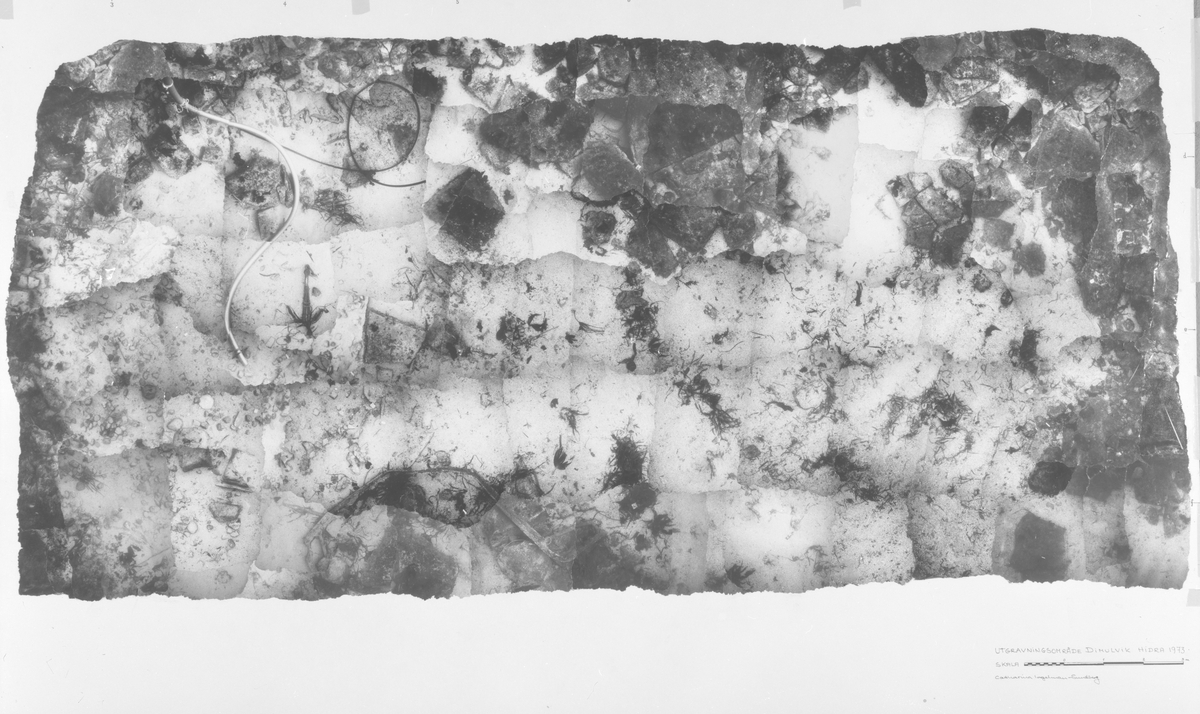 Fotomosaikk fra Dimulvik-utgravningen