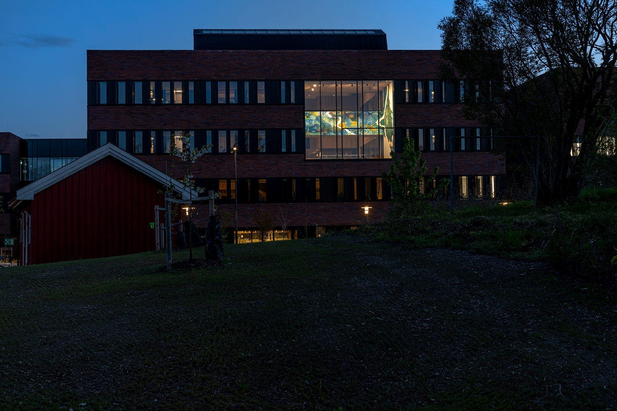 Kunstneren inntar rommets tre vegger med et monumentalt maleri. På gulvet står tremøblet The Loop. Det åpne rommet går i dialog med arkitekturen innover i bygningen og med utsikten over parken. Kunstverket er synlig fra utsiden, akkurat som veggmaleriet til Anders Smebye på Veterinærinstituttet, og begge verkene deler de tematiske berøringspunktene vann og økologi. De landskapslignende formene i maleriet er arbeidet frem vått i vått på liggende plater til en organisk og flytende helhet. De to benkene bukter seg gjentakende rundt bordet som ringer i vann.

Bakgrunnen for kunstverket er kunstnerens opplevelse av familiens oversvømte risåkrer i hjemlandet Thailand, en erfaring hun stadig bruker som utgangspunkt i sin kunst. Maleriet er en personlig refleksjon over et alvorlig tema: lokale konsekvenser av klimaendringer og verdenssamfunnets ansvar for og håndtering av naturkatastrofer.

The Loop er laget i samarbeid med arkitekt Cristian Stefanescu.