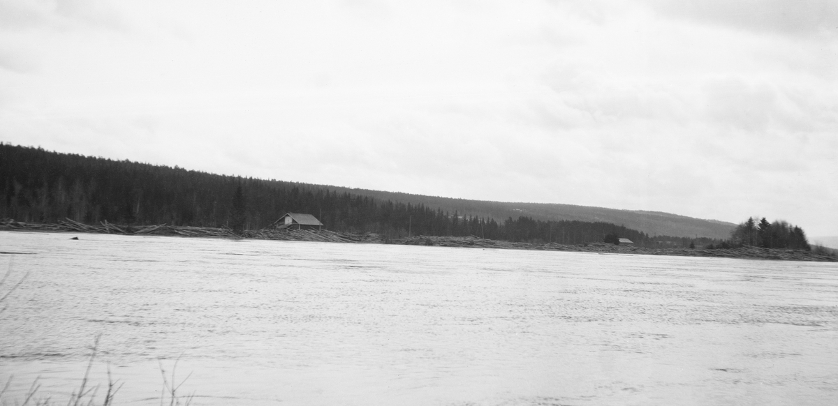 Glomma lengst nord i Heradsbygda i Elverum våren 1916. Fotografiet er tatt fra den vestre elvebredden mot øst, der vi kan skimte en god del tømmer som var blitt liggende igjen i elveskråningen etter at flommen hadde kulminert. Vi ser også ei løe som ble brukt til å lagre høyavlinger, antakelig fra engaeraler som tilhørte garden Østerhaug.