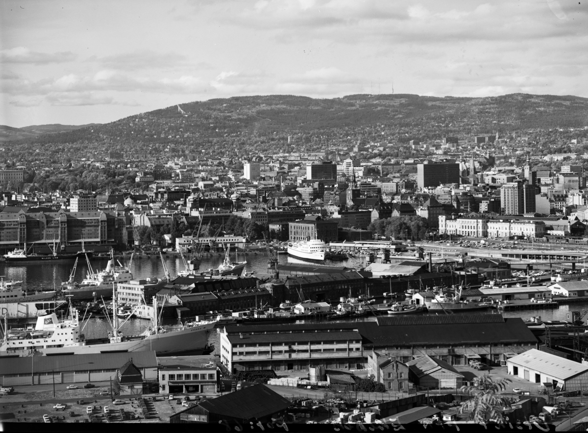 Utsikt over Bjørvika og sentrum øst fra Ekebergåsen