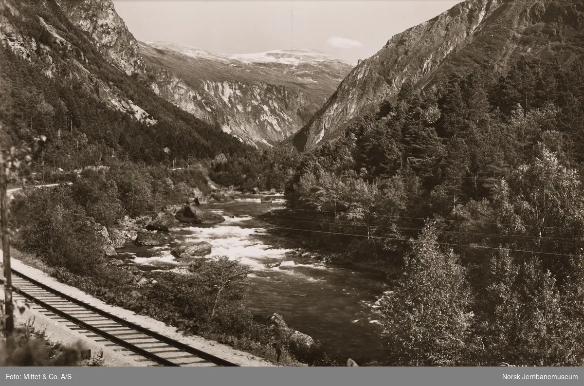 Parti ved Rygg mellom Skiri og Monge i Romsdalen på Raumabanen