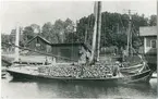 Roslagsskutan Alcea vid ångbåtsbryggan vid Åkersbro, Uppland 1916