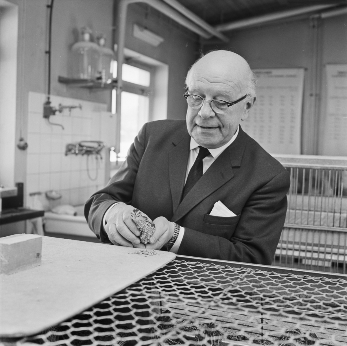 Lantbrukshögskolan, professor Ragnar Nilsson, Uppsala 1965