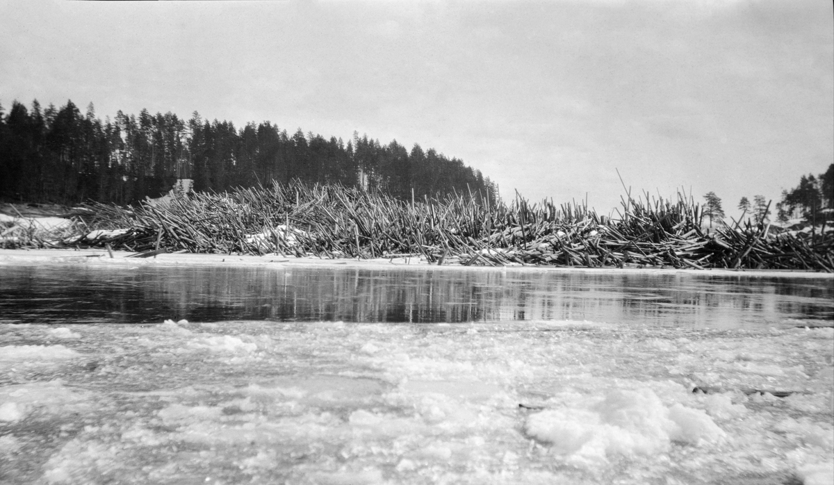 Tømmerhaug mot isen nedenfor Tjuvholmen ved Braskereidfossen i Glomma, i Våler i Hedmark. Haugen besto antakelig av tømmer som skulle vært fløtet sørover mot industrien ved den nedre delen av vassdraget i 1918, men som hadde strandet nederst i denne fossen, hvor det etter hvert ble innestengt av is. Da dette fotografiet ble tatt var det åpenbart viktig for fløterne å få fjernet dette tømmeret, før 1919-sesongens fløtingsvirke kom flytende med strømmen.