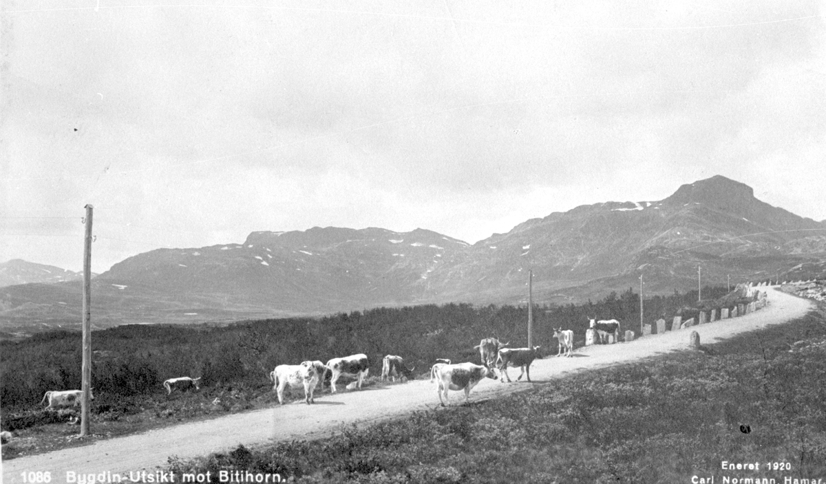 Utsikt mot Bitihorn 1607 m.o.h fra Garli nordvest for Beitostølen.