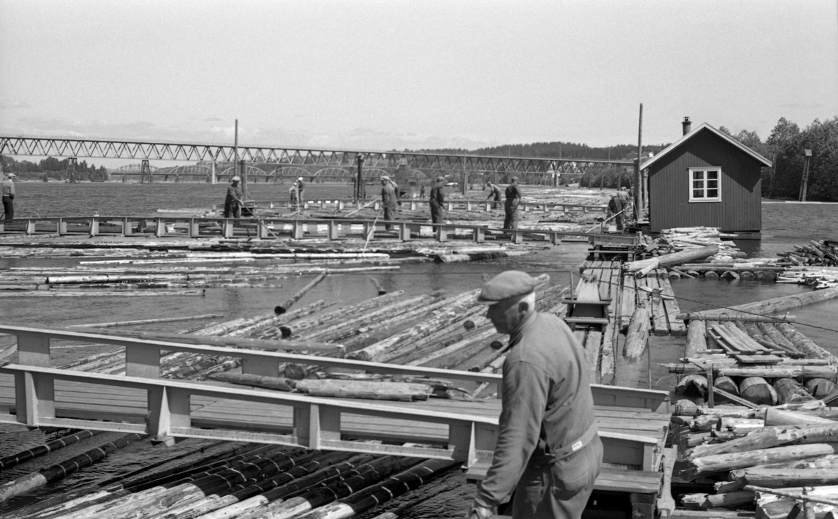 Arbeid i Prestlensa, den delen av lenseanlegget ved Fetsund i Akershus som lå ved Glommas østre bredd. Bildet er tatt i motstrøms retning. Her kom tømmeret inn i ei «renne» - en kanal mellom to parallelle flåteganger i strømretningen. I denne renna fløt stokkene langsomt nedover mot «soppemaskinene» - bunteinnretningene i den nedre enden av anlegget. På flåtegangene langs renna gikk lensearbeiderne med langskaftete fløterhaker og passet på at stokkene fløt som de skulle. De kunne flytte seg fra den ene til den andre sida av renna via lave stålbruer som var lagt mellom flåtegangene. Til høyre i bildet ser vi ei flytende brakke, der arbeiderne kunne søke ly i matpausene. I bakgrunnen ser vi brua for bilvegen fra Fetsund og østover (mot Bjørkelangen) og bakenfor (og under) den igjen ser vi fagverksbrua der togene på Kongsvingerbanen passerte Glomma.

Lenseanlegget på fotografiet ble bygd i 1937-38 som erstatning for de eldre «sjunkene». Prestlensa fikk, i likhet med Lundslensa ved den vestre elvebredden, to soppeapparater for bunting av tømmeret. Anleggene ble noe ombygd i 1959, med sikte på redusere behovet for manuell arbeidskraft noe, blant annet ved å forenkle utsorteringa av «strømtømmeret» (som skulle til lokale bedrifter). Dette kan ha vært bakgrunnen for at dette fotografiet ble tatt påfølgende fløtingssesong. Mengden fløtingsvirke i Glomma var imidlertid synkende utover i 1960-åra, og etter 1965-sesongen ble det bestemt at bruken av Prestlensa skulle opphøre. Fra da av var det bare Lundslensa ved den vestre elvebredden som var i drift.