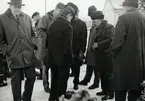 Pälsmarknad, Sigfridsmässan, 17 feb. 1965.