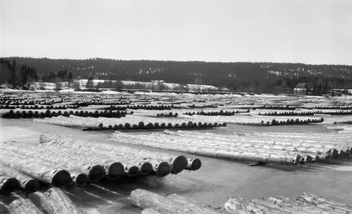 Tømmertillegging på Glomma i Elverum i 1928.  Fotografiet er tatt på et sted der elva er bred og stilleflytende, og fløtingsfunksjonæren som var fotograf har vært opptatt av de mange flakveltene som lå på isflata.  Her ble altså tømmeret levert til fløting ved at det ble lagt et par tømmerstokker på isen, med en innbyrdes avstand på 3-4 meter, hvorpå det ble lagt tette floer (ett lag) av tømmerstokker vinkelrett oppå disse underlagsstokkene.  Denne tilleggingsmåten krevde store arealer, noe tømmerleverandørene fant i brede, islagte elveløp, som her.  Tømmerlevering på is var likevel problematisk, fordi det var fare for «kjøving» - overvatn som med nye kuldeperioder frøs til is – og dermed for at tømmeret frøs inne i en svært fuktig masse.  Fløtingsforeningene og tømmerkjøperne ønsket at stokkene skulle få en forsiktig tørk før fløtinga startet, og det sikret en best ved tillegging langs strendene.  Derfor kom det tidlig forbud mot den tilleggingsmetoden vi ser på dette fotografiet på fløtingsvassdragene nordafjells, og på Sørlandet var flakevelter på is bare tillatt etter spesiell avtale.  I de indre bygdene på Østlandet var det da dette fotografiet ble tatt tillatt å legge tømmer i flakvelter på is fra februar og utover, men ledelsen i fløtingsforeningene så helst at tømmeret ble florlagt i strøvelter langs strender og elvebredder.