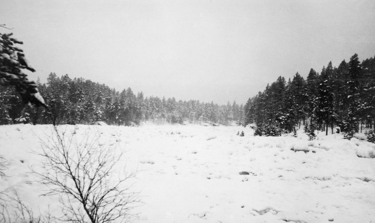 Tømmer under snø og is. Eidsfossen i Glomma, Våler, Hedmark.