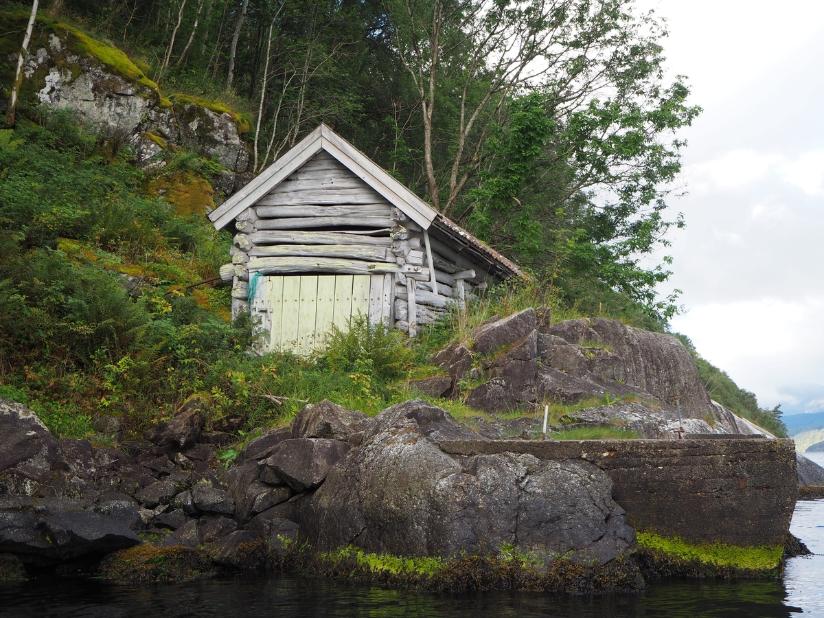 Skog, naust