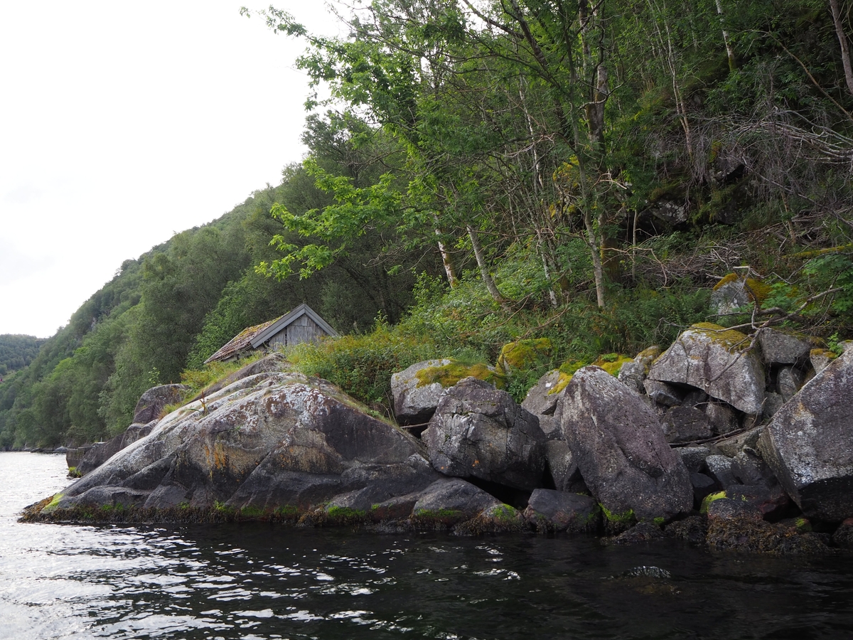 Skog, naust