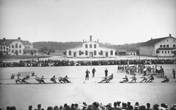 Dragkamp. I 14, Hälsinge regemente.