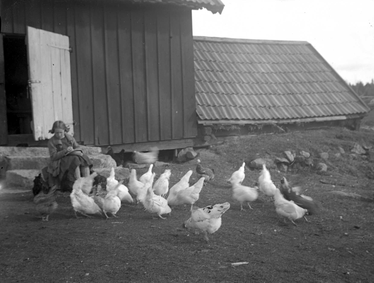 En flicka sitter på en trappa och matar höns.