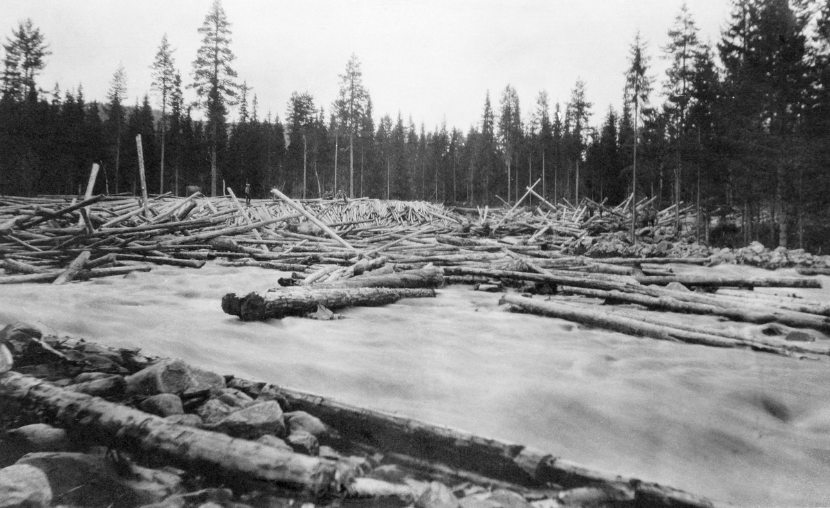 Tømmervaser i Neta, ei sideelv til Glomma i Stor-Elvdal i Østerdalen.  Fotografiet er tatt på et sted der elva går forholdsvis flomstor over en flat, steinete mo i skogen.  En betydelig mengde barket tømmer har satt seg fast på ei steinør i en elvesving.  En mann ses oppå tømmervasen, forholdsvis langt fra fotografen.  I bakgrunnen gran- og furuskog. 