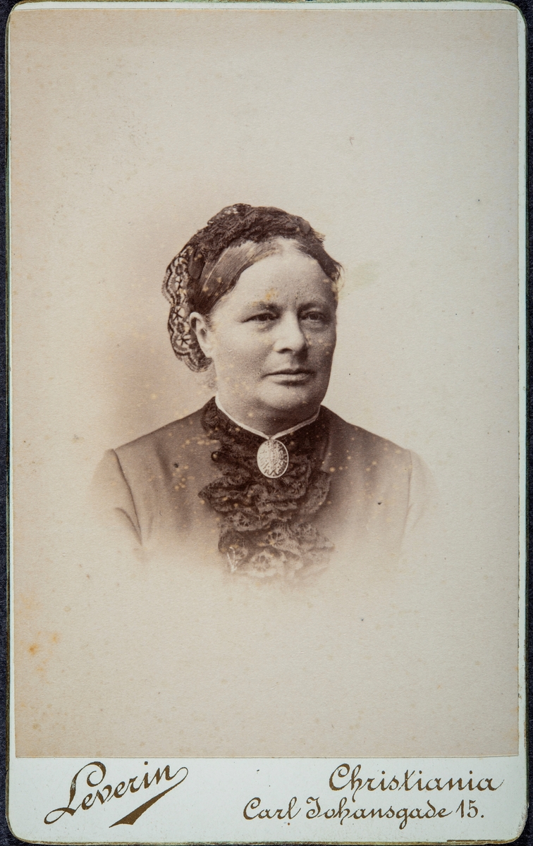 Portrett av Julie Anna Clara Bay, gift Syberg. Hun var gift med Rudolf Sigismund Syberg (1851-1914) Han var direktør på Aadals Brug Mekaniske Verksted og Jernstøperi fra 1902 til 1913. 
Julie Anna Clara Bay er dansk, og ble født i Aalborg 30.06.1854.