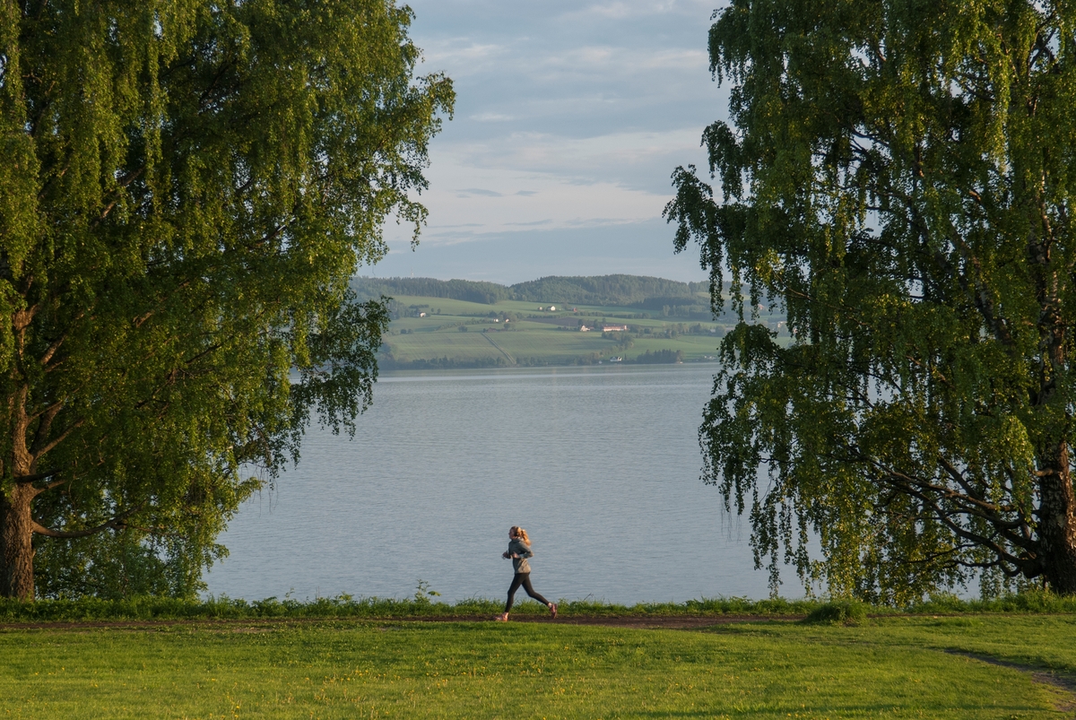 Domkirkeodden, Hamar. Friluftsområdet, trening, Mjøsa, Helgøya. Kveldsstemning. Museumsområdet.