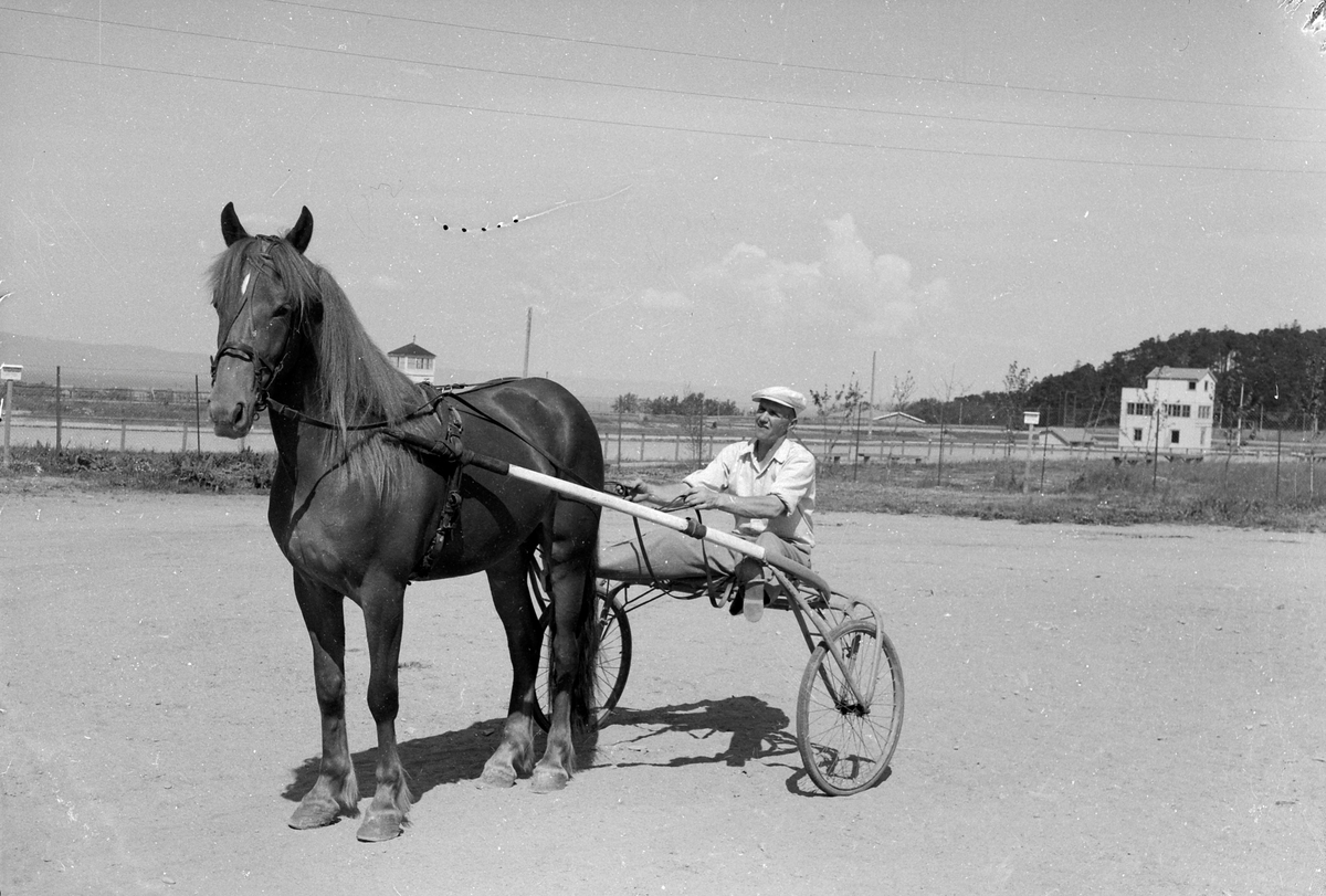 Fra Leangen travbane