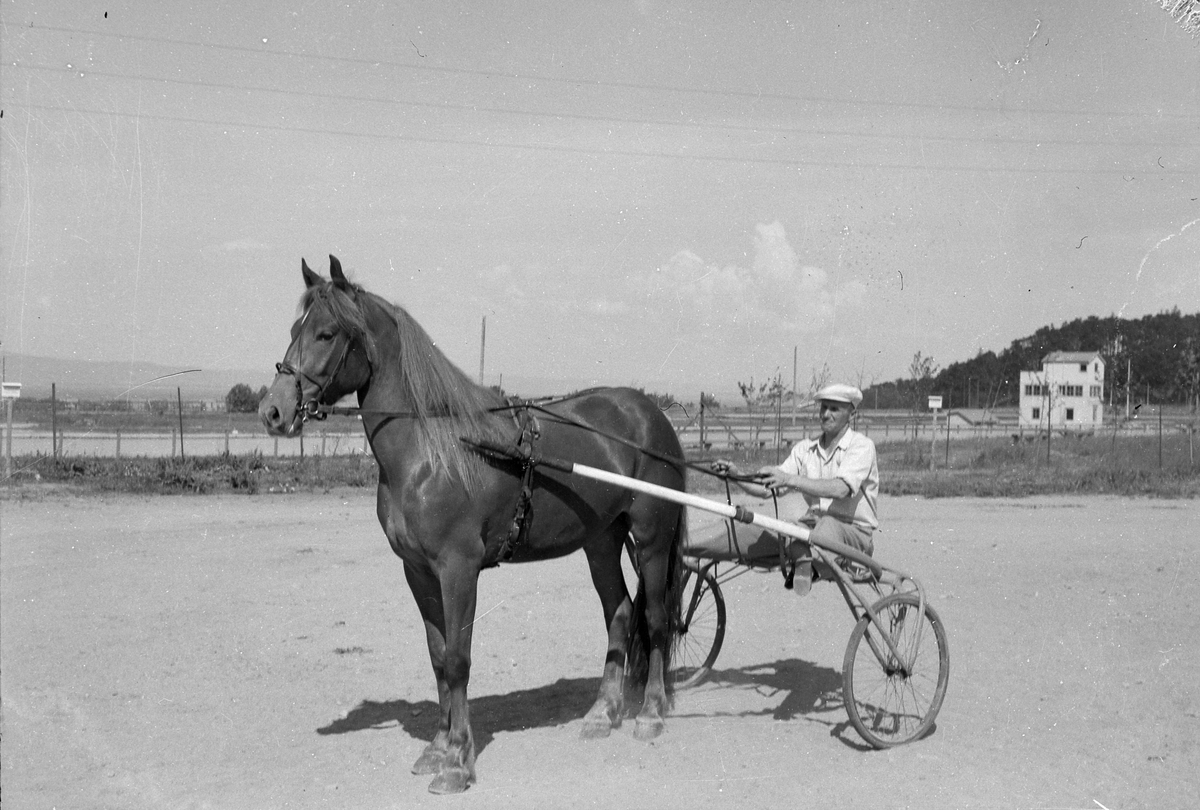 Fra Leangen travbane